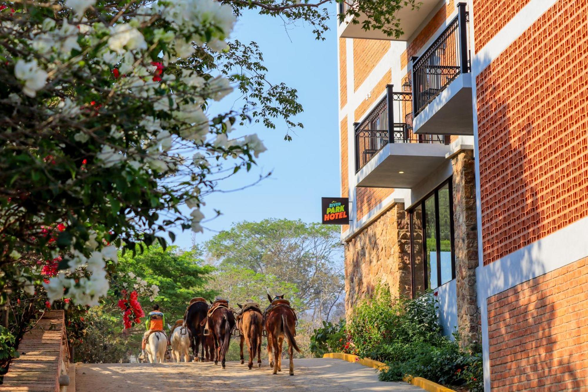 River Park Hotel Puerto Vallarta Exteriör bild